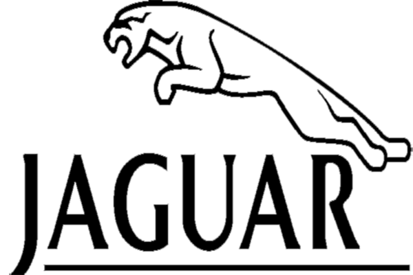 jaguar categoria